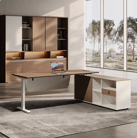 Modern Simple Office CEO Boss  - Office Furniture Logo 评论和价格