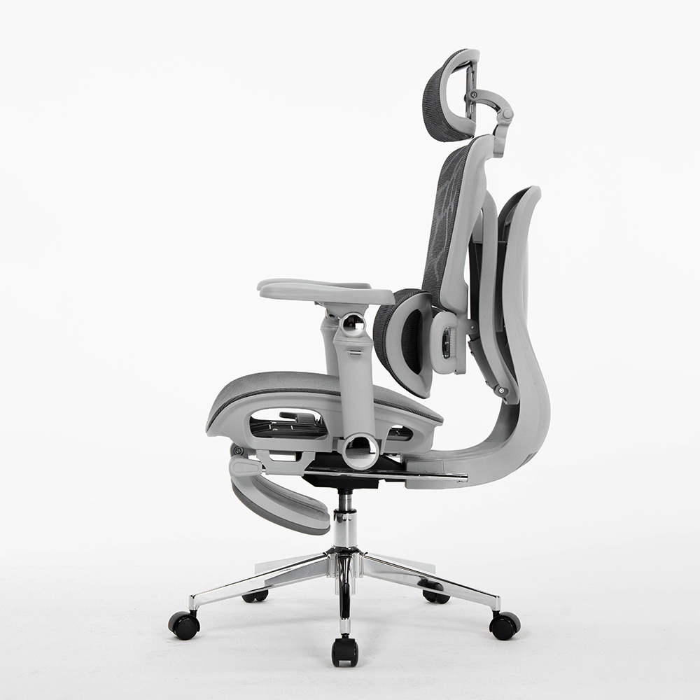 Office Chairs For Staff, Ergon - Office Furniture Factory 评论和价格