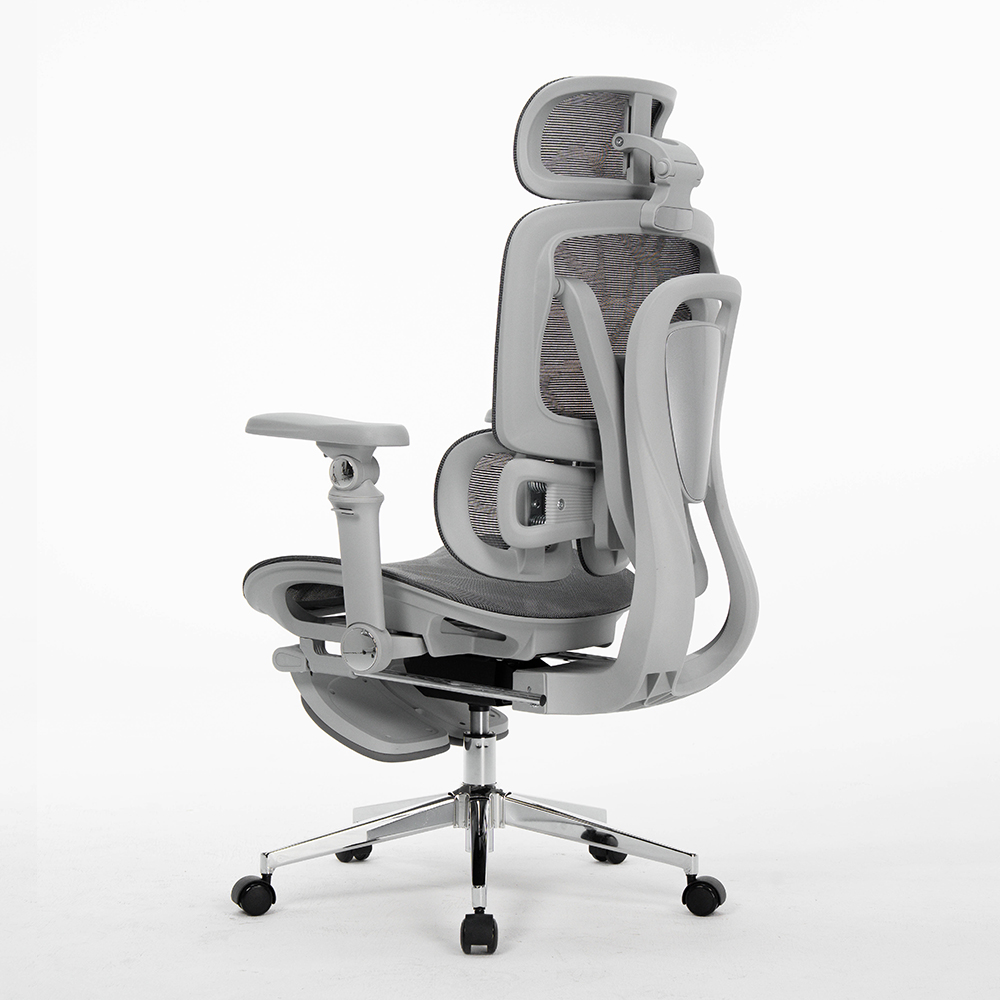 Office Chairs For Staff, Ergon - Office Furniture Factory 评论和价格